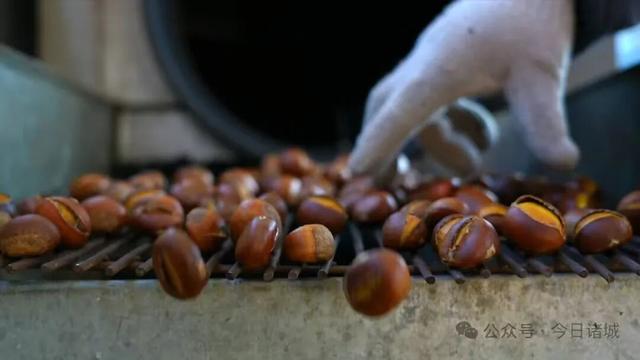 奔“县”潍坊！“龙”游诸城，诸事皆成！