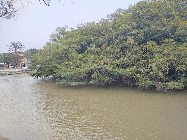 2026温暖广东之旅：漫游珠海、新会、江门