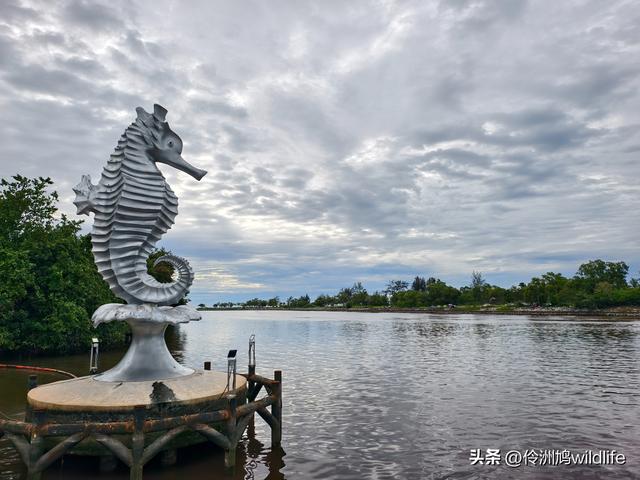 马来西亚(33)砂拉越州⑦美里市加拿大山、海滨公园等