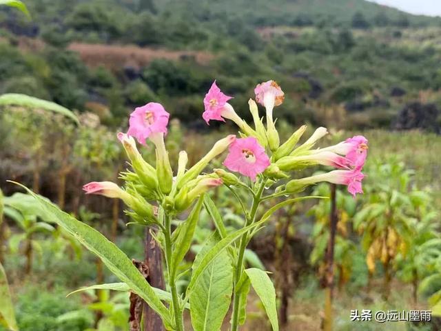 徒步石林蓑衣山、赏水上石林，遇降雨淅淅沥沥，收获特别的体验