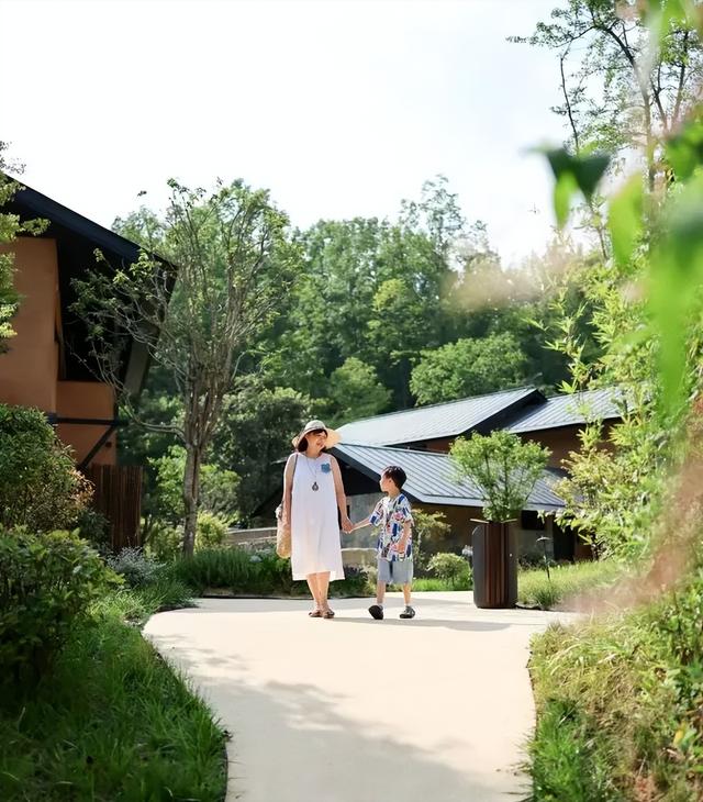 镇巴黄金小环线：一场逃离喧嚣的治愈之旅