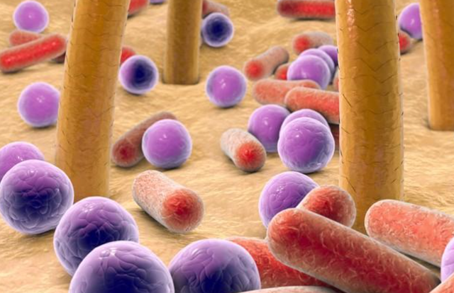 中国人为啥对酸味又爱又恨？一文讲清楚这背后的亿年演化历史