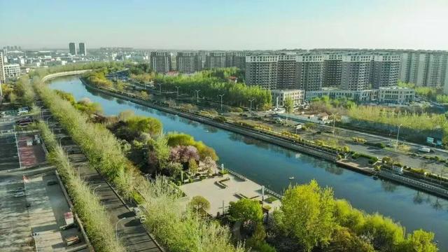 什么？！“高雅人士”来武清了？？