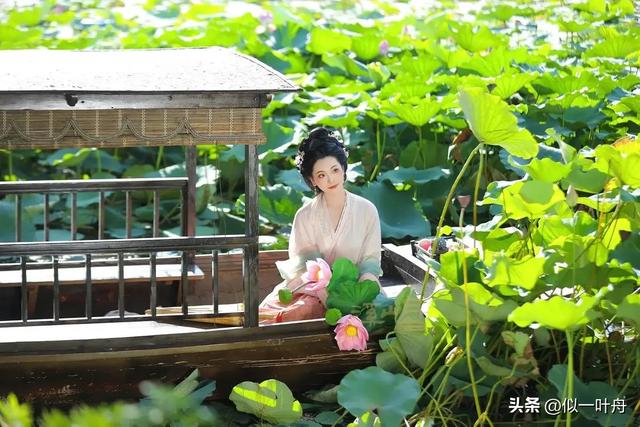 误入仙境的七月行