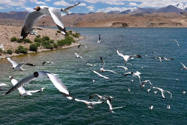 距印度仅26公里，班公湖大桥通车，对我国有着怎样的重要意义？