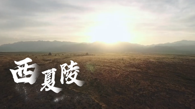 “宁夏紫色·中国味道”激活文旅消费新引擎