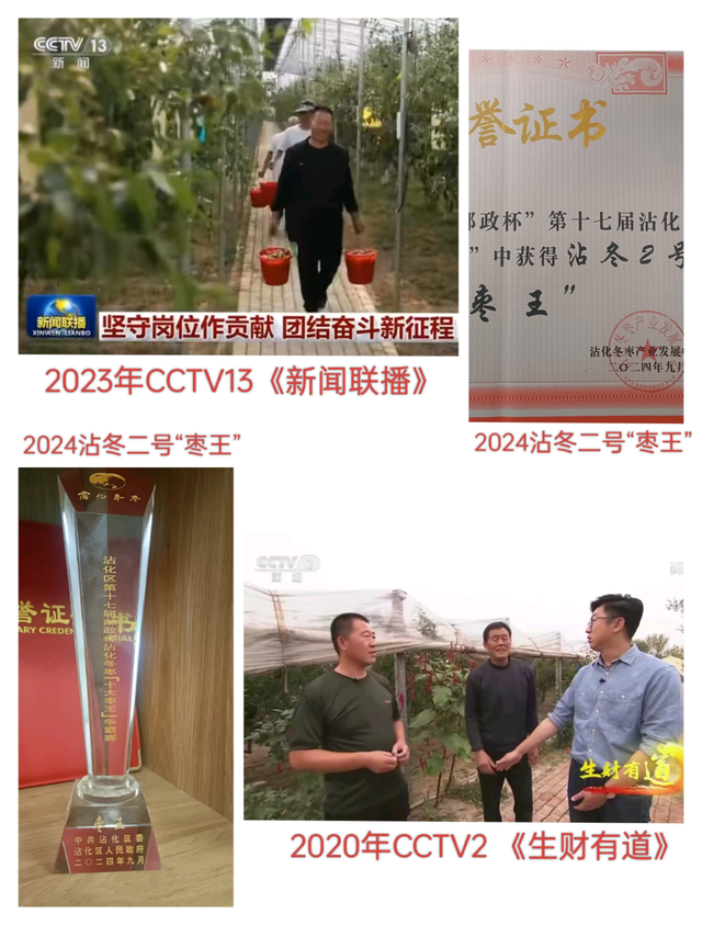 “‘枣’想遇见你”滨州“枣”味采摘路线 | 沾化冬枣、苹果、葡萄……来滨州，为你的假期“加buff”