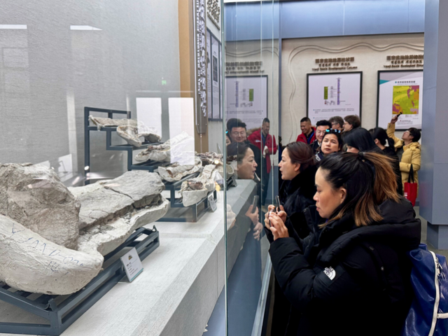 是什么让三国旅行商齐声赞叹？吉林冰雪给了他们答案