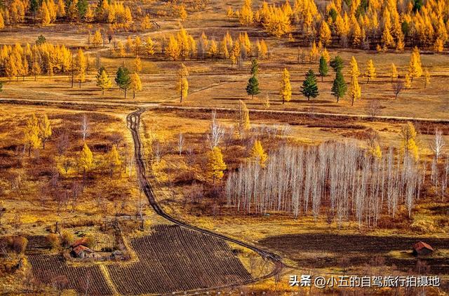9 地秋日赏秋实测攻略！附最佳时间 + 落地玩法，收藏直接走