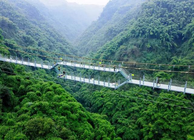 在竹尖上飞行！全网最全尖叫玩法攻略！