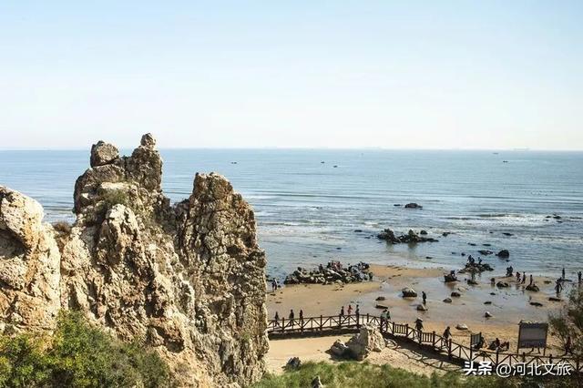 向海而歌,来秦皇岛凭依栈道、看海听涛,与海浪鸥鸟美好时光!
