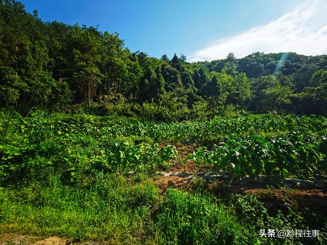 老人岩与磨刀岩：走过万仞崖壁之间不足一尺宽的险峻小道
