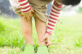 蚊子最大克星竟然不是蚊香？其实驱蚊很简单，开窗睡觉都不怕！图片