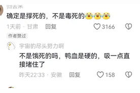 女子拿一块鸭血让让蚊子去吸！不料第二天蚊子全死了！网友崩溃了图片