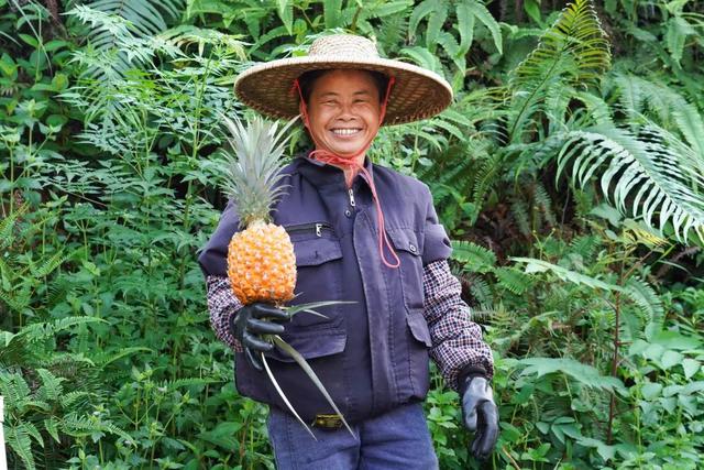 摘不完！根本摘不完！肇庆最新水果采摘好去处，gogogo~