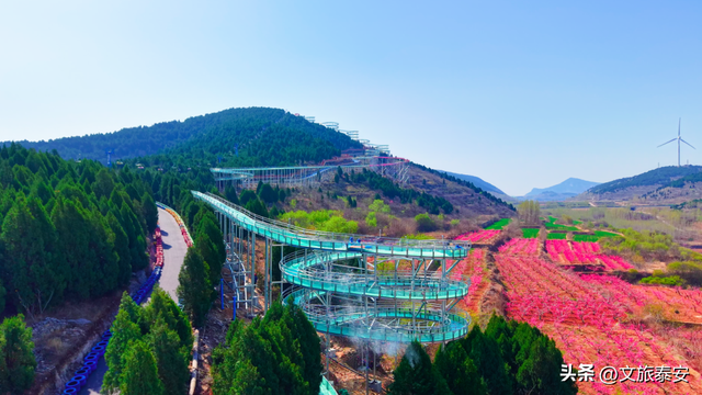 洛阳宝宝冲！四条线路解锁“一山一圣”的新玩法，朋友圈从洛阳卷到山东！