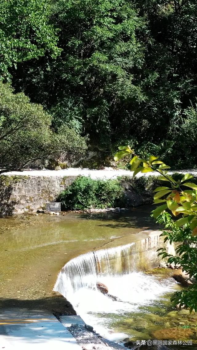 热浪再度来袭？不如进山去！享受20℃+的清凉舒爽