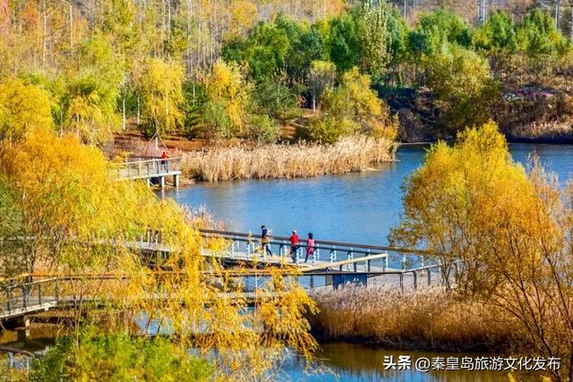 秦皇岛最大临海公园迎来“颜值巅峰”，栈桥听海、枫林斑斓，打卡走起！