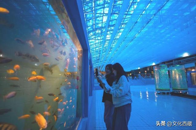 文旅破局！沙漠越野、星空露营、水上乐园、海洋公园→