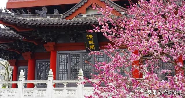 合肥老市中心“硬核”，大钟楼芜湖路！