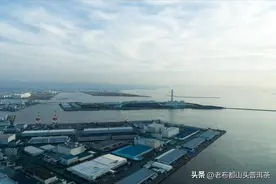 日本第8轮核污排海，建议：5种海鲜尽量少吃，为了家人健康别大意图片