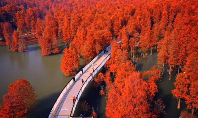 12月1日起实行免票！赶紧出发