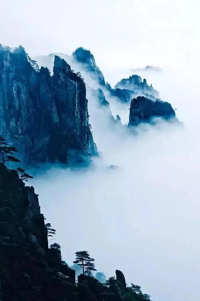 手机壁纸精美图片（99）