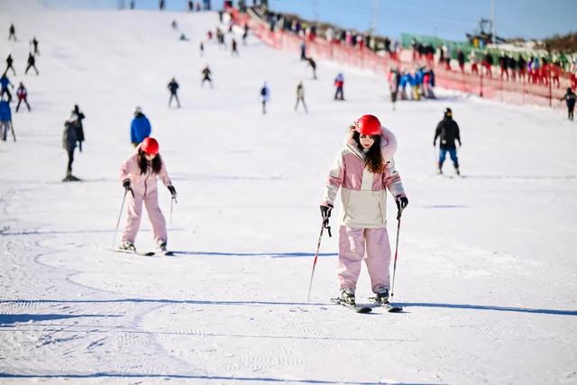 杜甫“归乡”引客来,巩义文旅携诚意走进广西