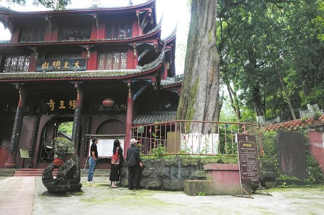 发现·公园城市 | 山风拂古寺，红豆映禅心