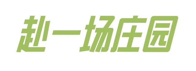 避世小住！长沙适合疲惫都市人的7个自然系民宿→
