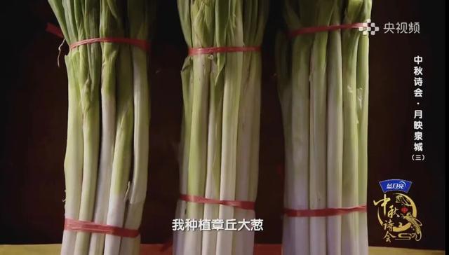 连续三天！大美济南在央视《2025中秋诗会》中熠熠生辉！