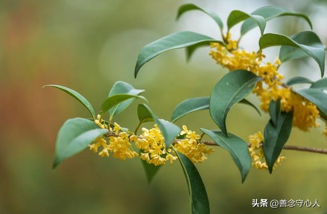 两性关系：情人已过时，现在流行5种关系，你属于哪一种？
