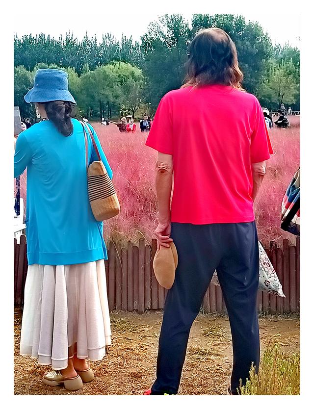 奥森公园粉黛乱子草，给你留下粉红的回忆！