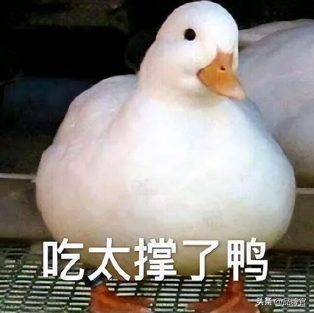 “鸭中爱马仕”跌落神坛，从上万一只到300元甩卖无人在意！