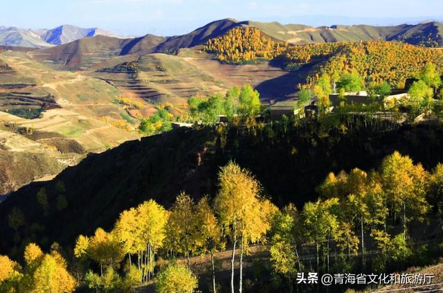 西宁,把秋天藏进了这些地方...