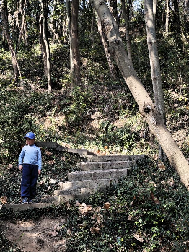 带4岁娃爬上海松江天马山，2小时轻松搞定，花费不到30元