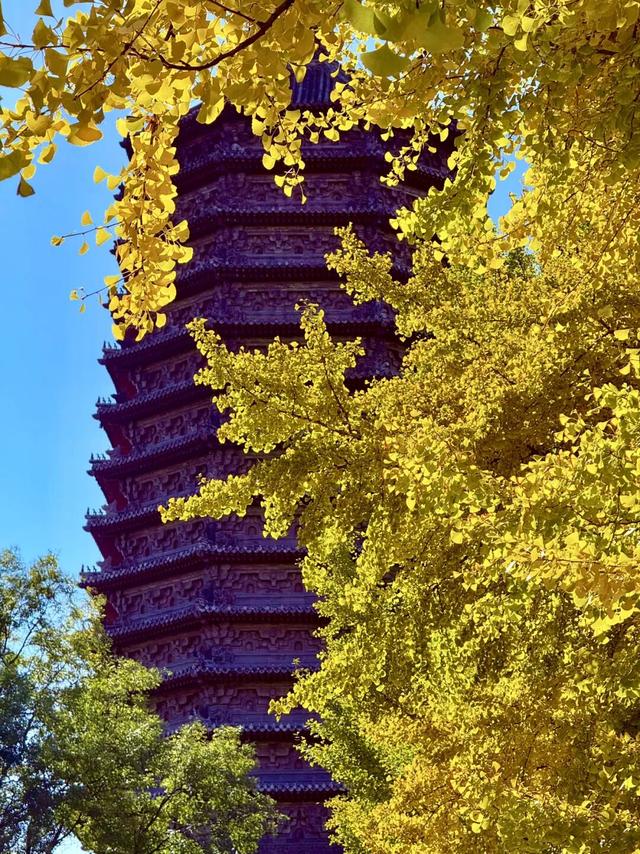 写生日记——251101 北京·玲珑公园