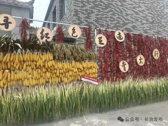 红色为底，金秋为笔！武乡绘就文旅融合新画卷