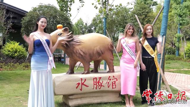 美女与野兽——世界旅游小姐常野游