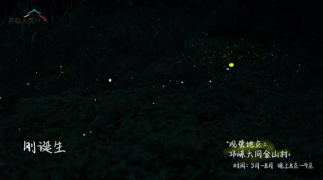 成都以西的隐秘小村，赏萤火虫、溪涧踩水、探秘溶洞…1.5h刹拢！