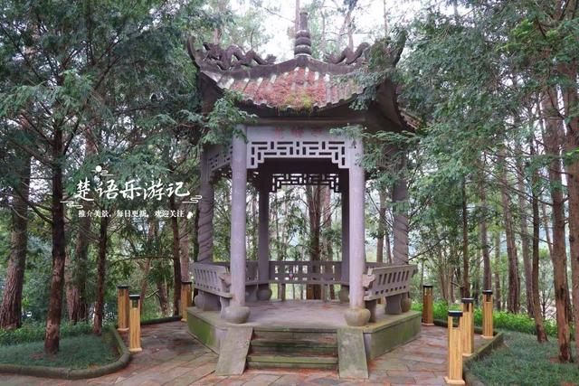 宁波海曙新打造了一个松林公园，小巧清幽却很适合休闲，值得一游