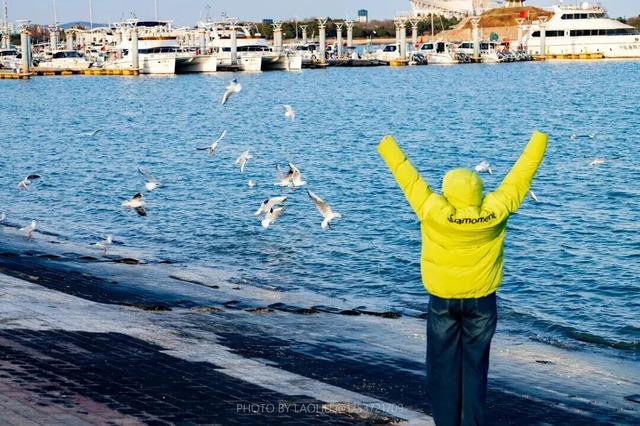 超全！满满仪式感！日照跨年活动来啦！