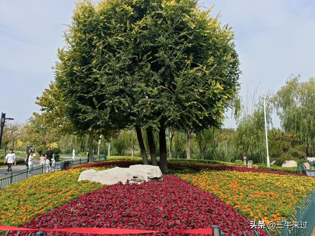无为在歧路，国庆游淄博1