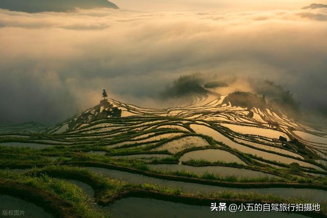 丽水 2 天实测攻略！云和梯田 + 仙都 + 古堰画乡，避坑 + 出片全说透