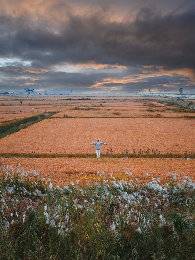 为了这些照片，我专门来了一趟东营！