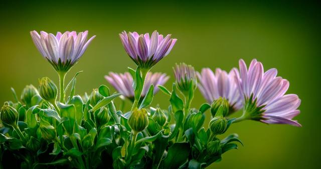 爆款标题：人这一生，最大的憾事莫过于相遇越无法相拥。