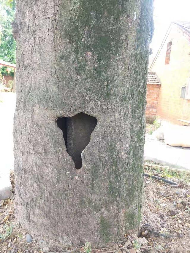 走遍宜城之——寻访马蹄畈战斗遗址