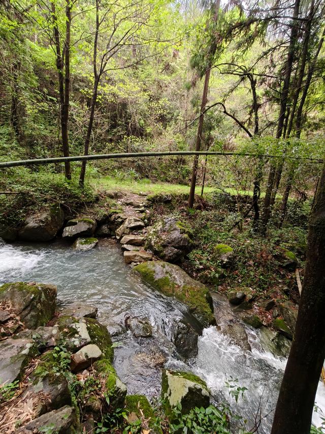 仙居县大木辽村，寻寻觅觅落脚地，起起落落下山走