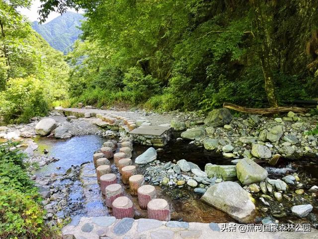 夏末秋初送清凉，来自黑河国家森林公园的惊喜等你查收~