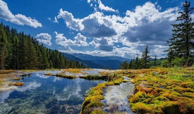 千里相约，山水相逢！黑水文旅亮相上海！这场推介太圈粉了→